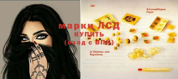 стафф Алзамай