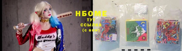 стафф Алзамай