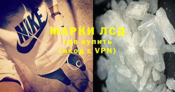 стафф Алзамай