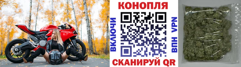 Канабис план  Белоярский 